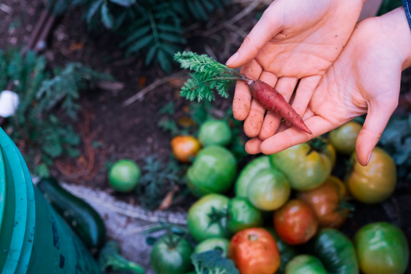 Farm & Garden Club